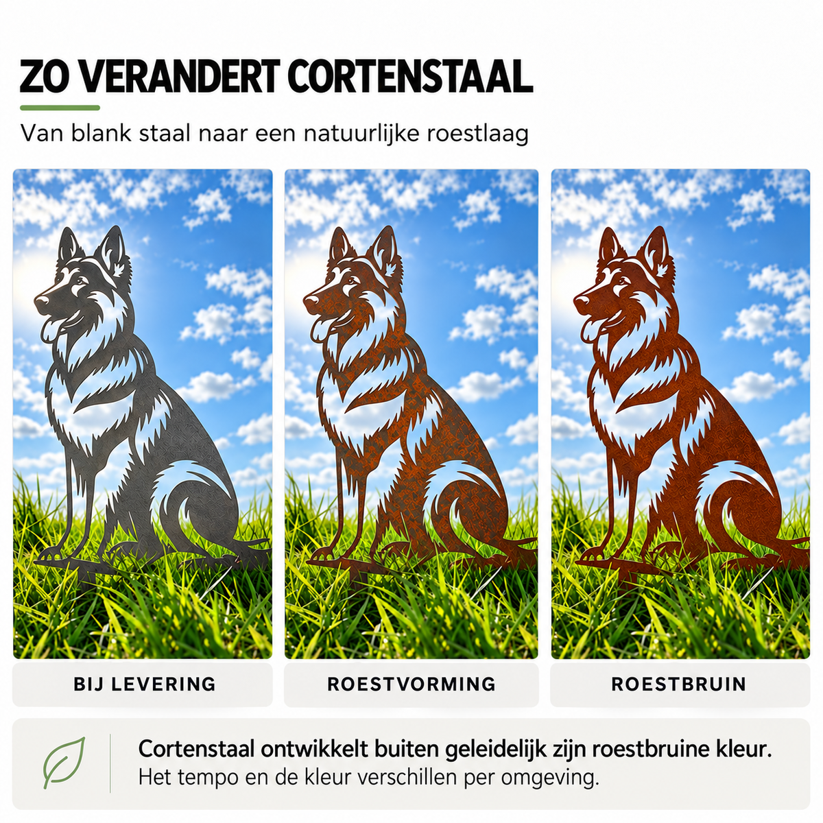 Herdershond in cortenstaal: van blank staal naar roestbruin