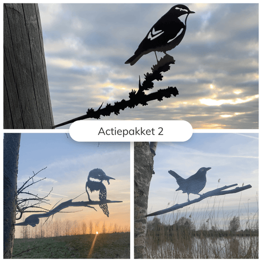 Aktionspaket 2 – Metallvögel