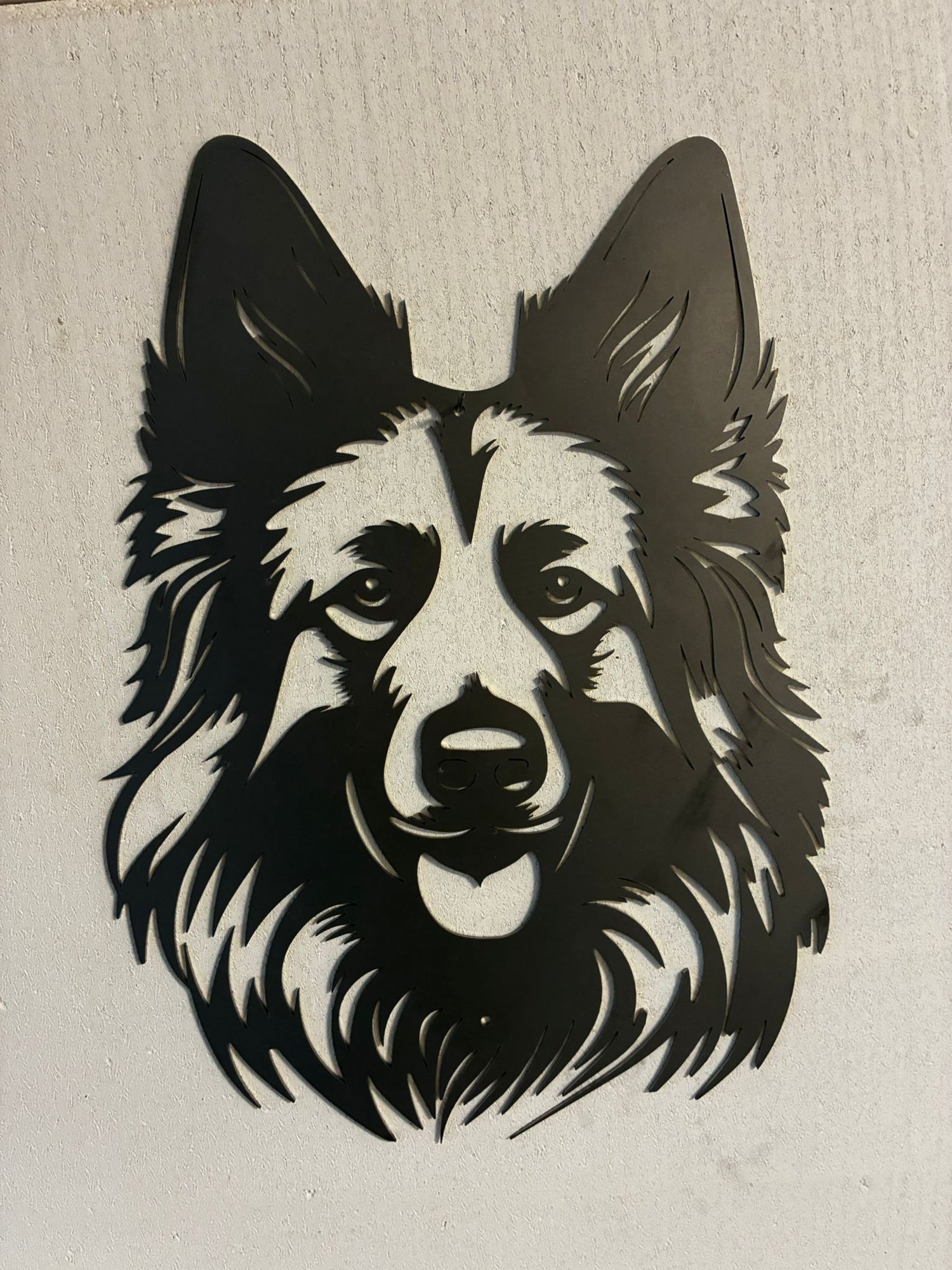 Belgischer Schäferhund