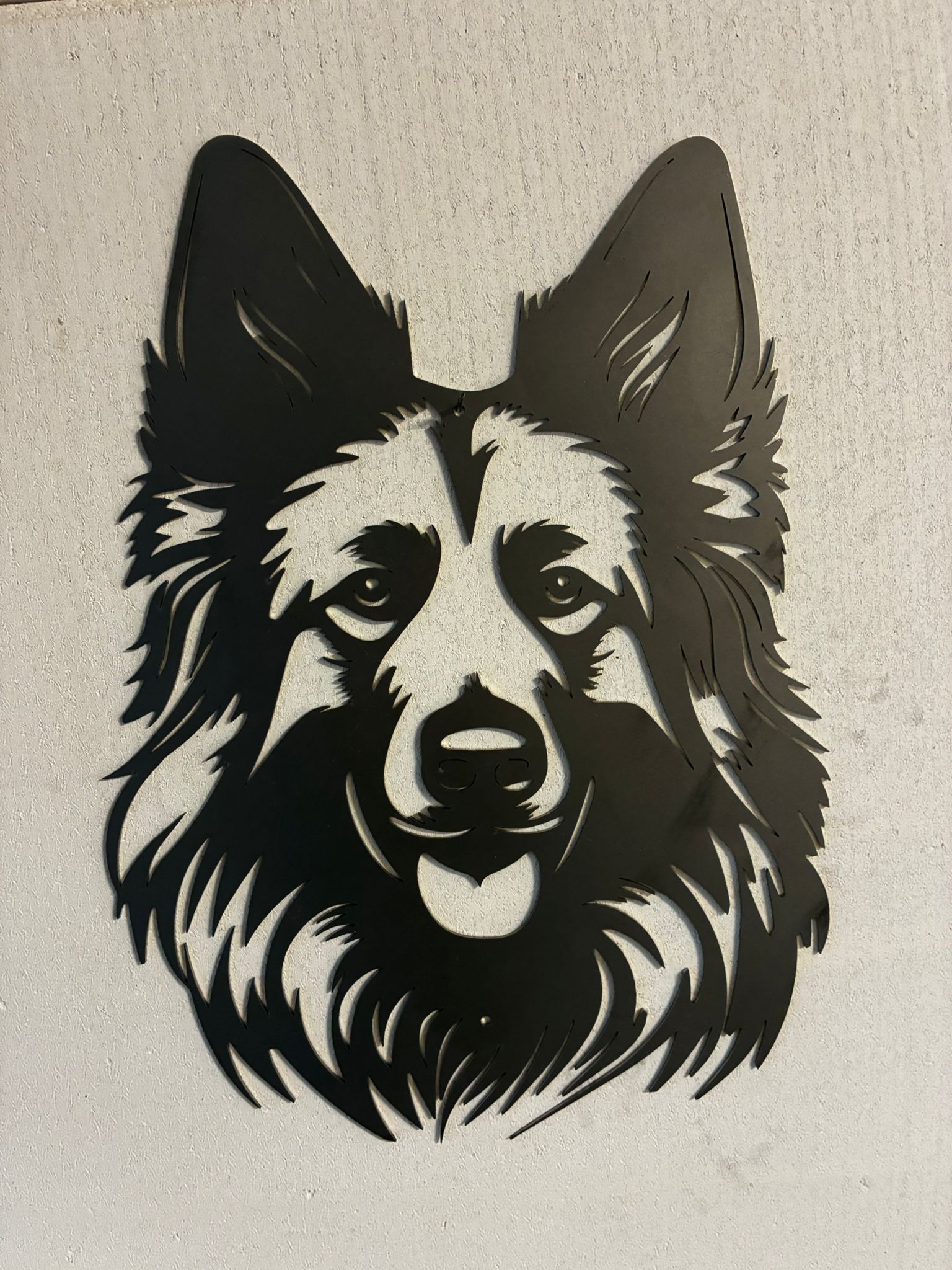 Belgischer Schäferhund