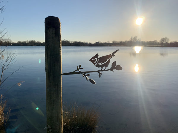 The Crested Tit