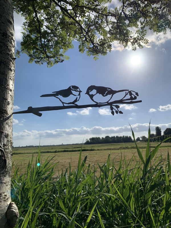 Pimpel and Great Tit